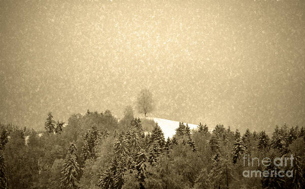Let It Snow Art Print featuring the photograph Let it snow - Winter in switzerland by Susanne Van Hulst
