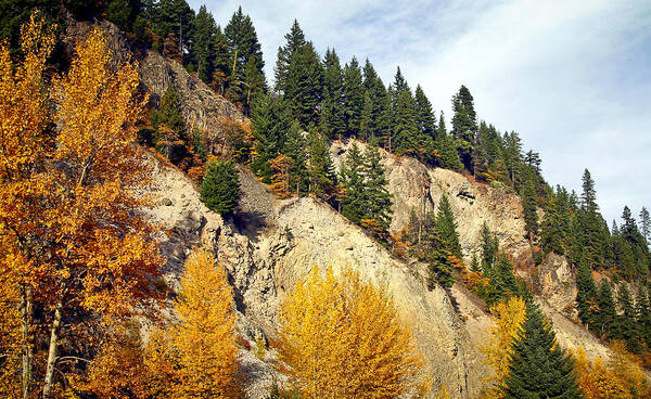 Fall Color Art Print featuring the photograph Living on the Edge by Albert Seger