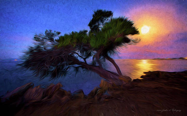Tree Art Print featuring the photograph Lone Tree on Pacific Coast Highway at Moonset by John A Rodriguez