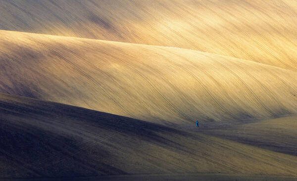 Moravia Art Print featuring the photograph Man At Work by Piotr Krol (bax)