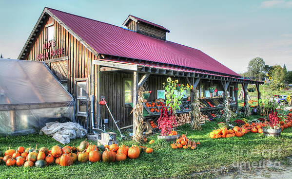 Adrian Laroque Art Print featuring the photograph Maple Sugar House by LR Photography