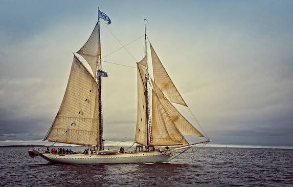 Schooner Art Print featuring the photograph Mary Day 3 by Fred LeBlanc