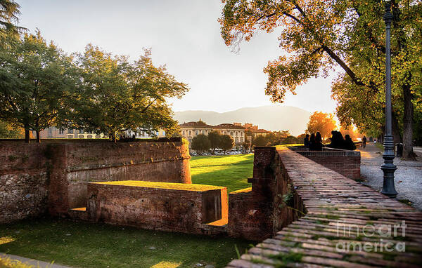 Italy Art Print featuring the photograph Medieval fortress wall in Lucca , Italy by Ariadna De Raadt