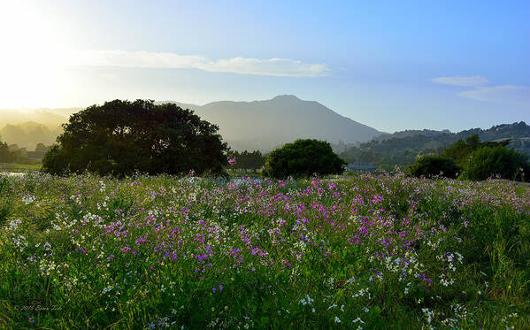 Spring Art Print featuring the photograph Milkmaids Flowers and Mt. Tamalpais by Brian Tada