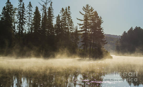 Trees Art Print featuring the photograph Mist on Costello Lake by Jale Fancey