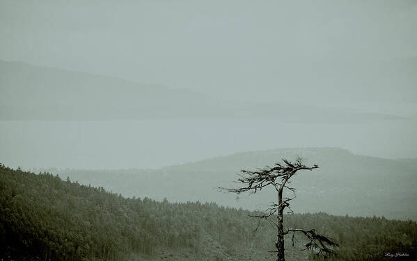 Mountains Art Print featuring the photograph Misty View by Roxy Hurtubise