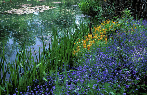 Giverny Art Print featuring the photograph Monet's Lily Pond by Kathy Yates