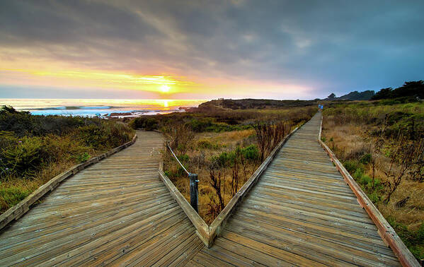 Cambria Art Print featuring the photograph Moonstone Beach Path by R Scott Duncan