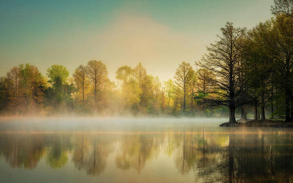 Honor Heights Art Print featuring the photograph Morning Mist at Honor Heights by James Barber