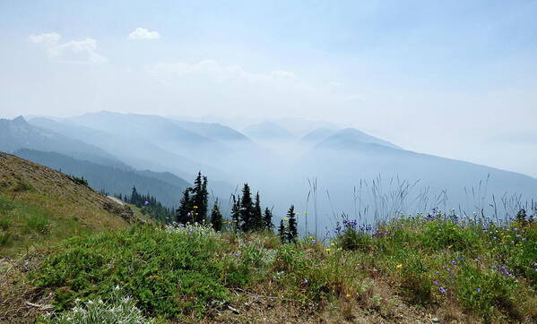 Hurricane Ridge Art Print featuring the photograph Morning Mist in Mountains by Lyuba Filatova