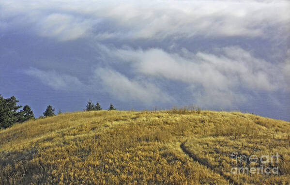 Mt. Tamalpais Art Print featuring the photograph Mountain High by Joyce Creswell