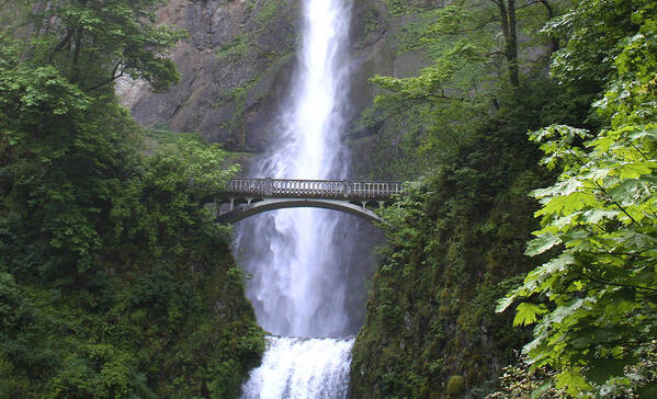 Waterfall Art Print featuring the photograph Multnomah Falls WF1051A by Mary Gaines