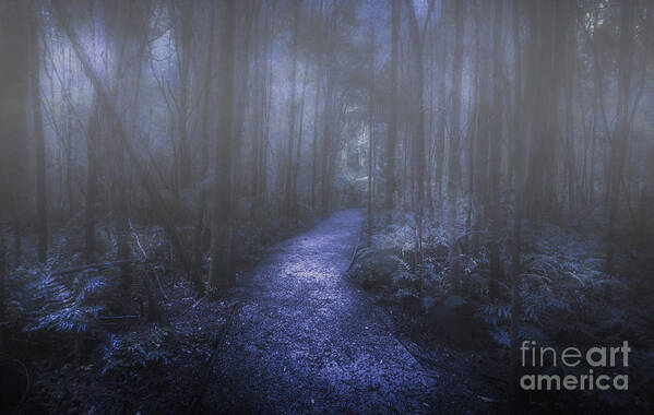 Dark Art Print featuring the photograph Mystery pathway by Jorgo Photography