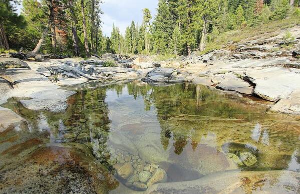 Sierra Art Print featuring the photograph Nature Flows Through You by Sean Sarsfield