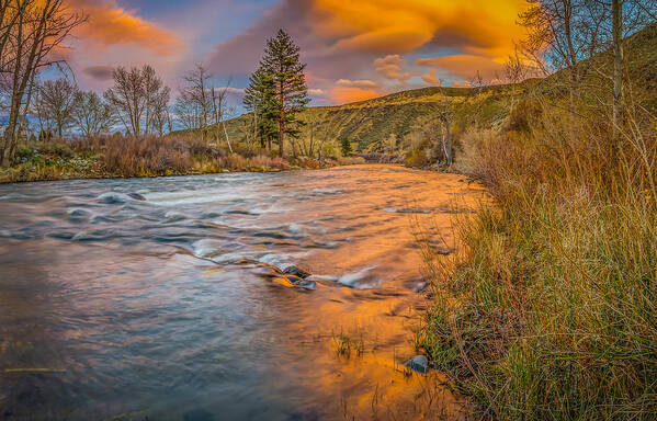 Landscape Photography Art Print featuring the photograph Nevada Gold by Scott McGuire