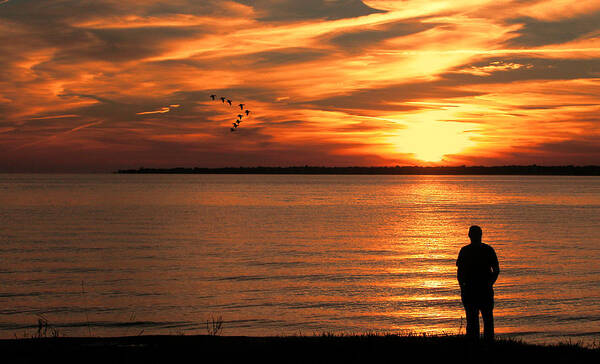Sunset Art Print featuring the photograph Observing The Sunset by Cathy Kovarik