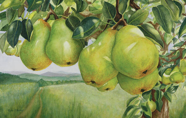Pears Art Print featuring the painting Pendulous Pears by Tara D Kemp