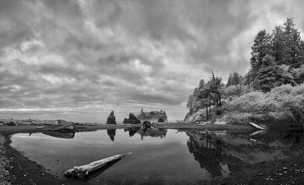 Ruby Beach Art Print featuring the photograph Perpetual Transition by Jon Glaser