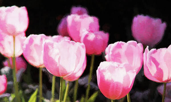 Tulips Art Print featuring the photograph Pink Tulips by Reynaldo Williams