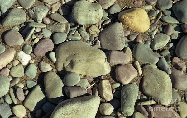 River Rock Art Print featuring the photograph River Rock by Richard Rizzo