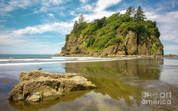 Beach Art Print featuring the photograph Ruby Beach Morning by Jerry Fornarotto