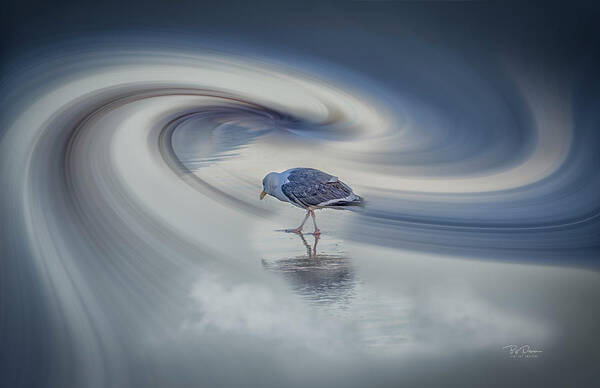 Seagull Art Print featuring the digital art Searcher by Bill Posner