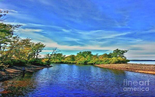 Creek Art Print featuring the photograph Selkirk Shores by Dani McEvoy