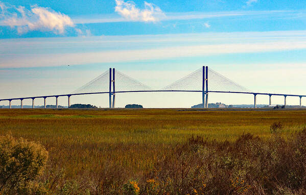 Nature Art Print featuring the photograph Sidney Lanier Bridge by DB Hayes