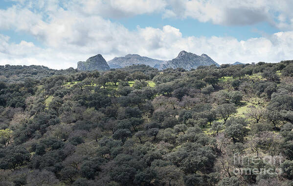 Sierra Art Print featuring the photograph Sierra Ronda, Andalucia Spain by Perry Rodriguez