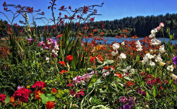 Hdr Art Print featuring the photograph Siuslaw River Floral by Thom Zehrfeld