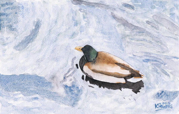 Watercolor Art Print featuring the painting Snake Lake Duck Sketch by Ken Powers