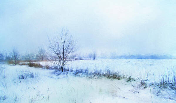 Snow Art Print featuring the photograph Snow Field by John Rivera