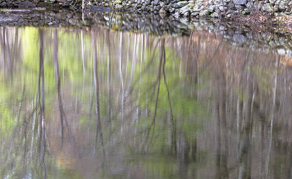 Gulf Road Waterfalls. Chesterfield New Hampshire Art Print featuring the photograph Spring Reflections by Tom Singleton