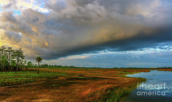 Storm Art Print featuring the photograph Stormy Marsh by Tom Claud