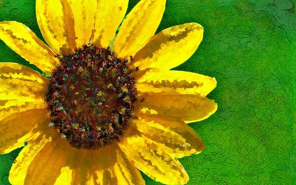Sunflower Art Art Print featuring the digital art Sunflower Art by Barbara Chichester