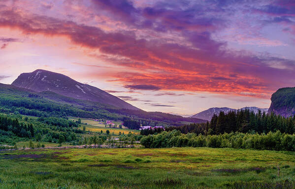 Europe Art Print featuring the photograph Sunset in the meadow by Dmytro Korol