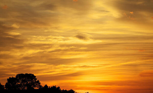 Sunset Art Print featuring the photograph Sunset by John Daly