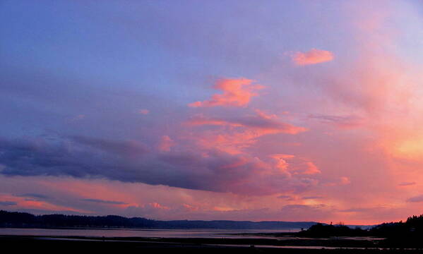 Sunset Art Print featuring the photograph Sunset on the Hood Canal #2 by Larry Bacon