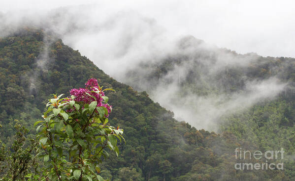 Landscapes Art Print featuring the photograph Talamanca Mountains by Chris Scroggins