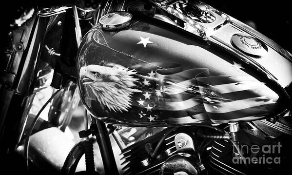 Harley Davidson Art Print featuring the photograph The Eagle Has Landed Monochrome by Tim Gainey