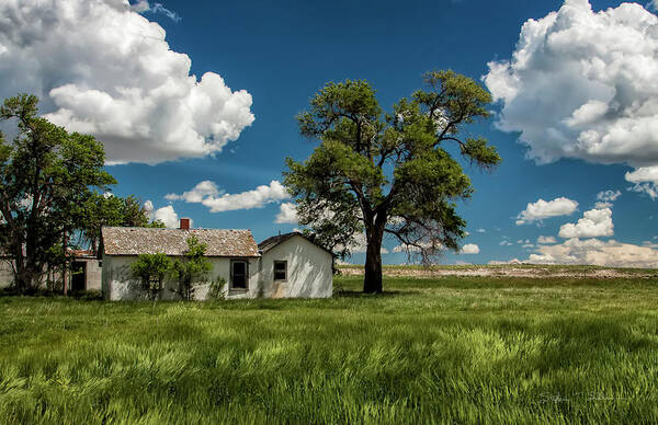 Wheat Fields Art Print featuring the photograph The Grassy Ocean by Steve Sullivan