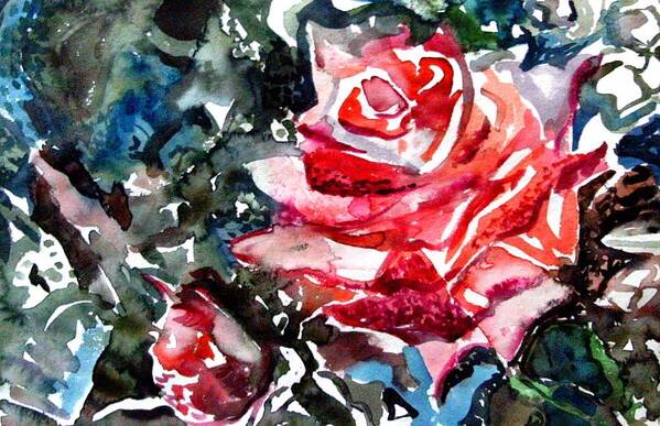 Rose Art Print featuring the drawing The Rose by Mindy Newman