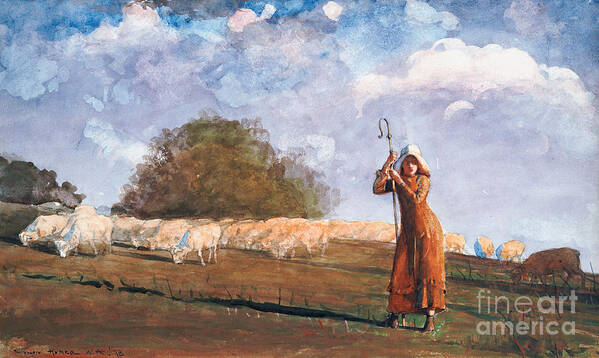 The Young Shepherdess Art Print featuring the painting The Young Shepherdess by Winslow Homer by Winslow Homer