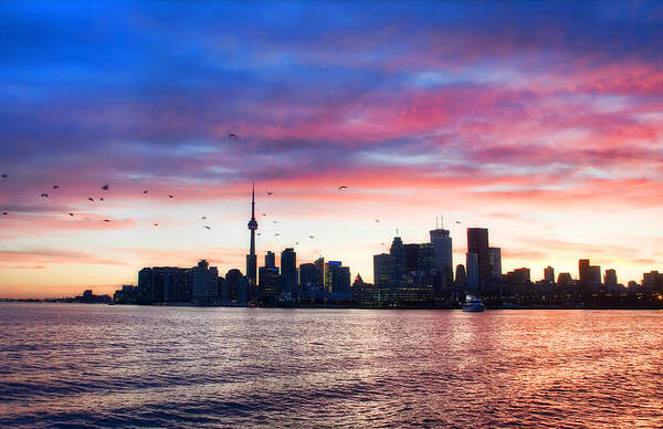 Toronto Art Print featuring the photograph Toronto Skyline by Tammy Wetzel