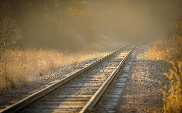 Tracks Art Print featuring the photograph Tracks by Brad Bellisle