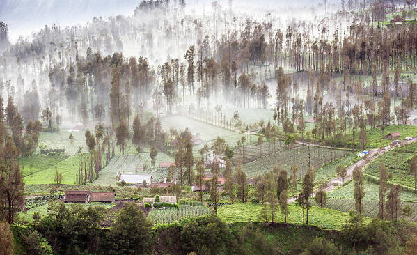 Landscape Art Print featuring the photograph Village covered with mist by Pradeep Raja Prints