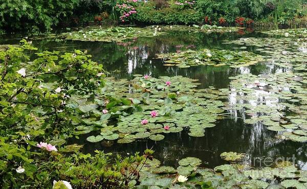 Pond Art Print featuring the photograph Waterlilies at Monet's Gardens Giverny by Therese Alcorn
