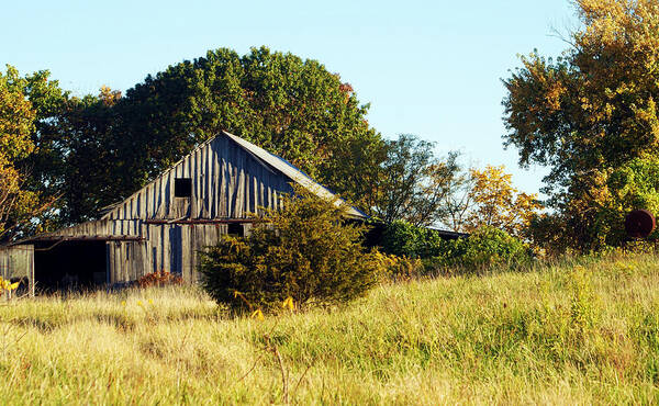 Barn Art Print featuring the photograph Weathered Barn in Fall by Cricket Hackmann