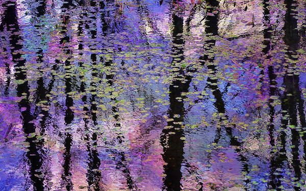 Photography By Suzanne Stout Art Print featuring the photograph Wetlands Watercolors by Suzanne Stout