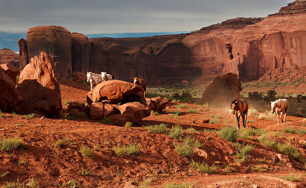 Horse Art Print featuring the photograph Wild Horses by Jonas Wingfield